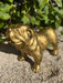 🔥 OFFRE LIMITÉE - Statue BULLDOG UK 30cm - GOLD 🔥 - MUZZANO