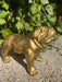 🔥 OFFRE LIMITÉE - Statue BULLDOG UK 30cm - GOLD 🔥 - MUZZANO