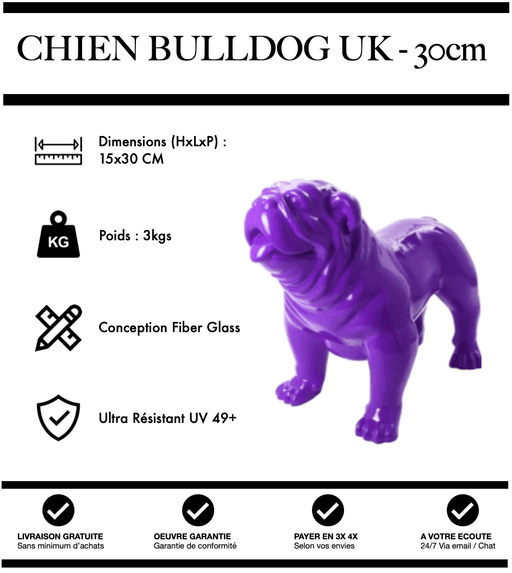 Sculpture Chien Bulldog UK Resine 30cm Statue - VIOLET - MUZZANO
